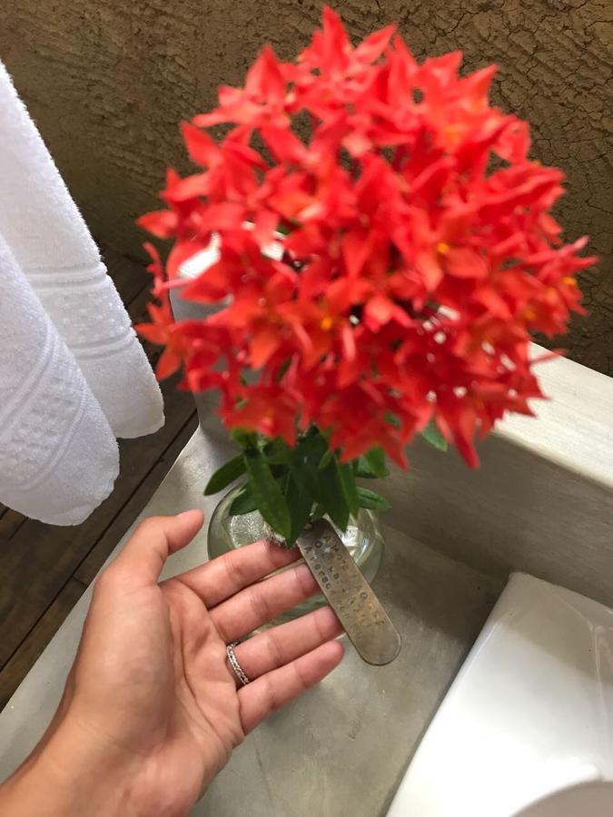 Pousada Spa Oasis Caraíva Eksteriør billede